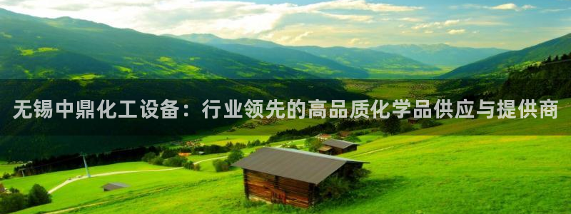 新宝gg官网登录找代理：无锡中鼎化工设备：行业领先