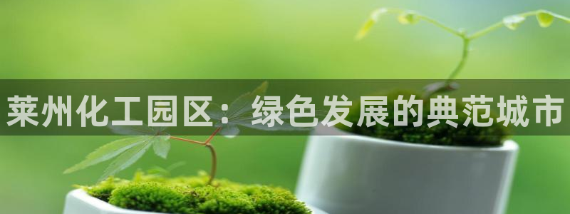 新宝GG平台德711.112如何处理：莱州化工园区