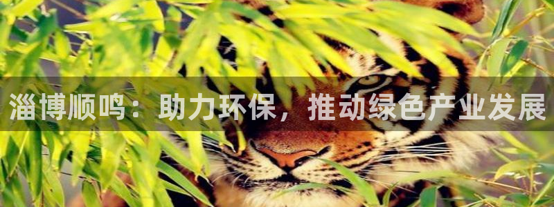 新宝gg上线被抓