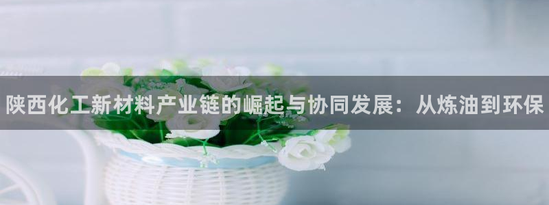 新宝gg创造奇迹官方登录入口