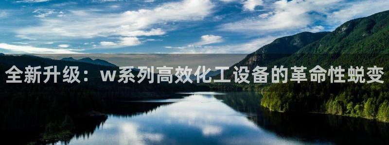 新宝gg为什么登不上去了：全新升级：w系列高效化工