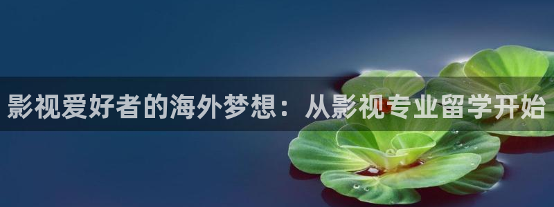 天空影视口令：影视爱好者的海外梦想：从影视专业留学开始