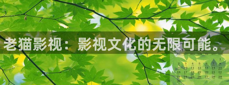 韩国电影 天空：老猫影视：影视文化的无限可能。
