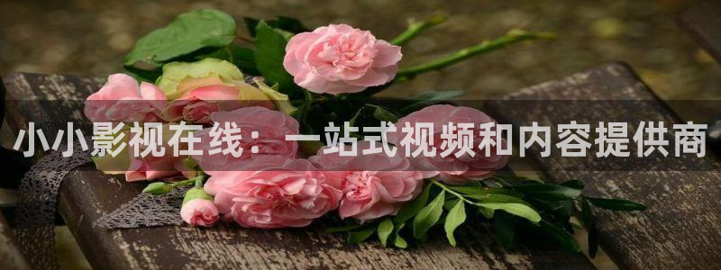 天空影视app下载官网：小小影视在线：一站式视频和内容提供商