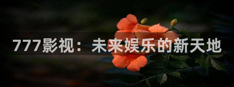 黄昏天空高清：777影视：未来娱乐的新天地
