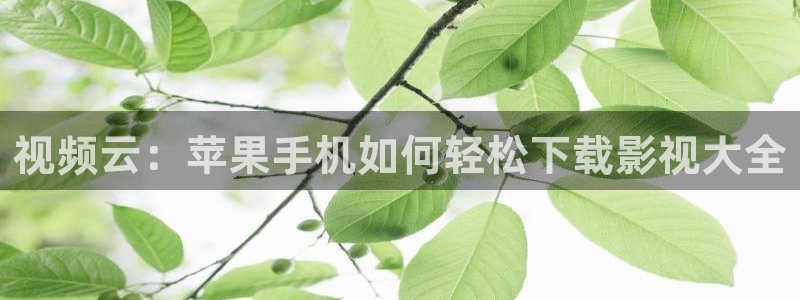 视频天空素材：视频云：苹果手机如何轻松下载影视大全